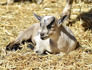 Andrea Tunall Img 2258