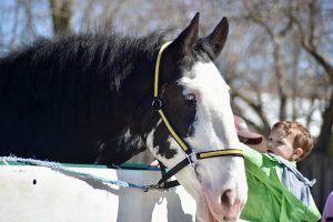 Andrea Tunall Img 2298