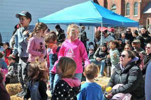 Susan Wright Dsc 6326