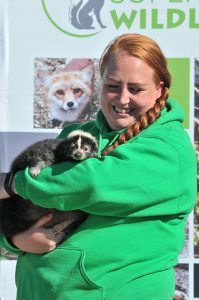 Susan Wright Dsc 6437