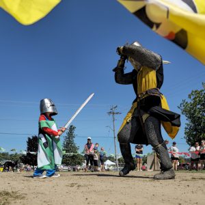 BOG Challenge a knight with Austin