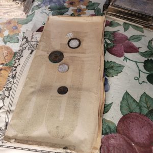 Museum 634394107 1489356469862014 8347457950478201511 n